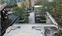成都市锦江区顺江路333号综合体项目A座景观工程一展竣工报告